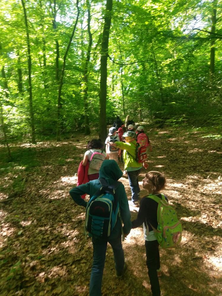 Ein Tag im Stenumer Wald